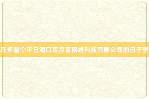 在多量个平日海口双月青网络科技有限公司的日子里