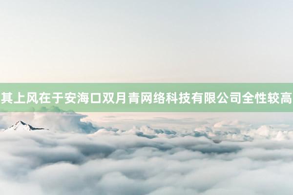 其上风在于安海口双月青网络科技有限公司全性较高